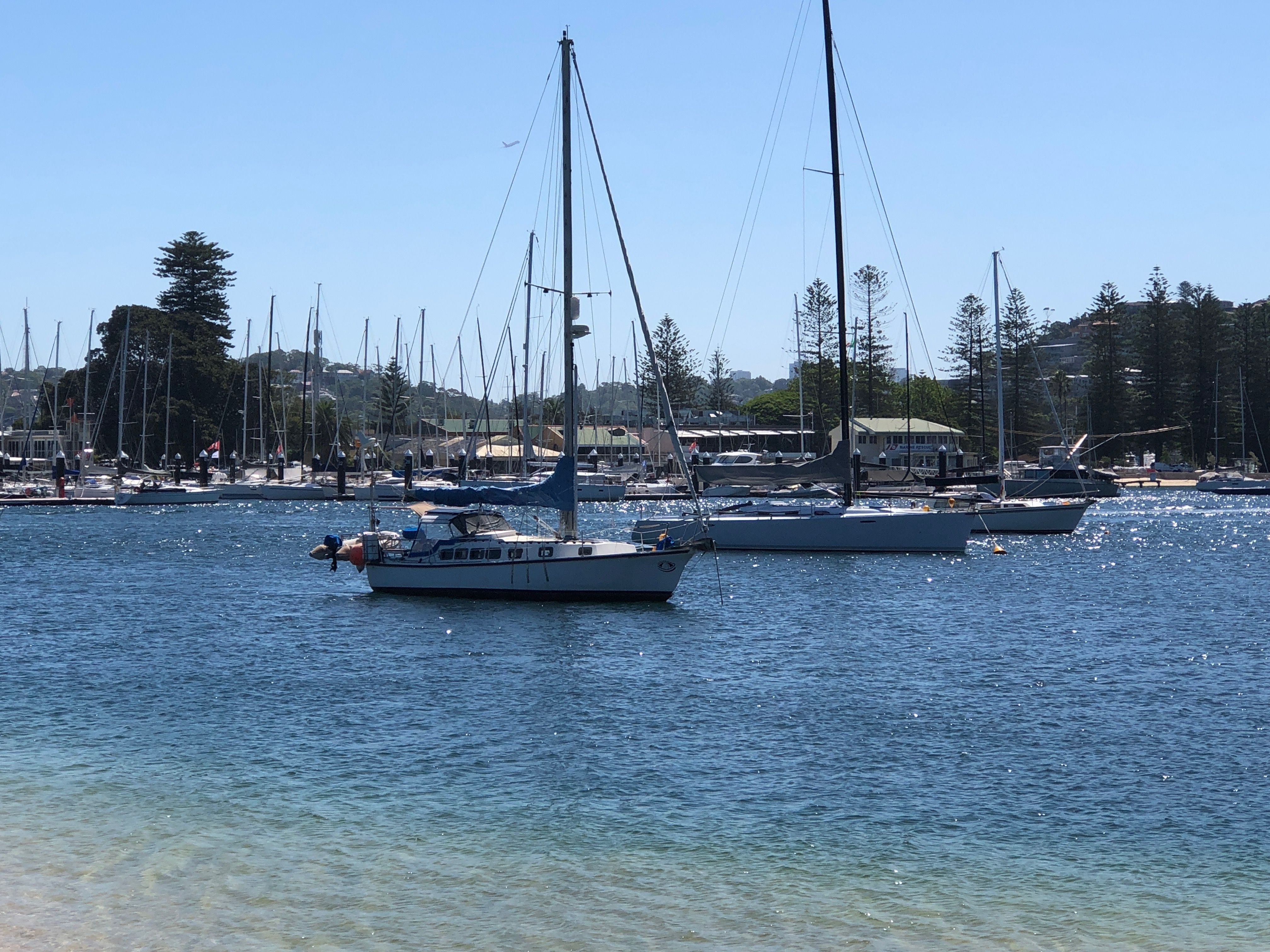 Northern Beaches Public Day Tour febuary 2019 Image -5c649649db8b1